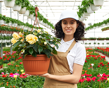 Giardino curato con prato e siepi
